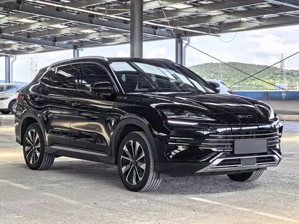 BYD Song PLUS New Energy 2024