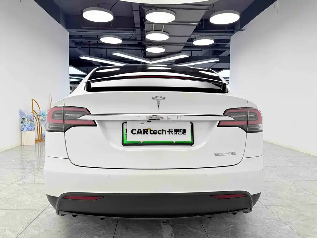 Tesla Model X 2019