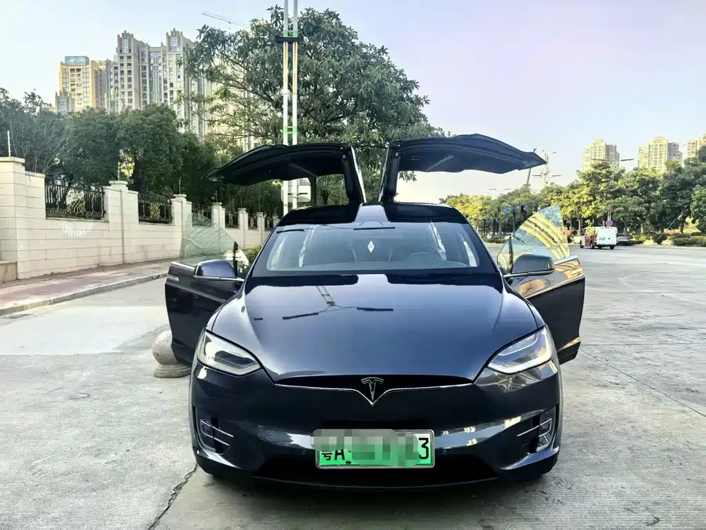Tesla Model X 2020 — фото 2