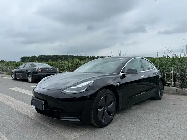 Tesla Model 3 2020