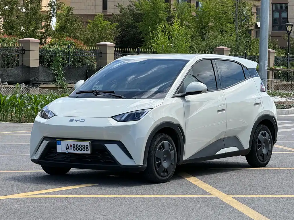 BYD Seagull 2024