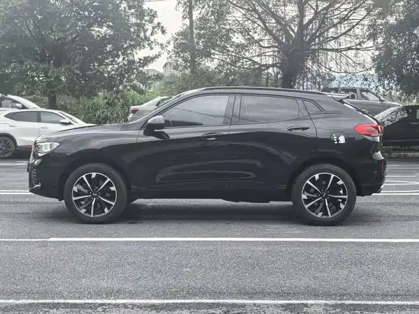 Wey VV5 2019