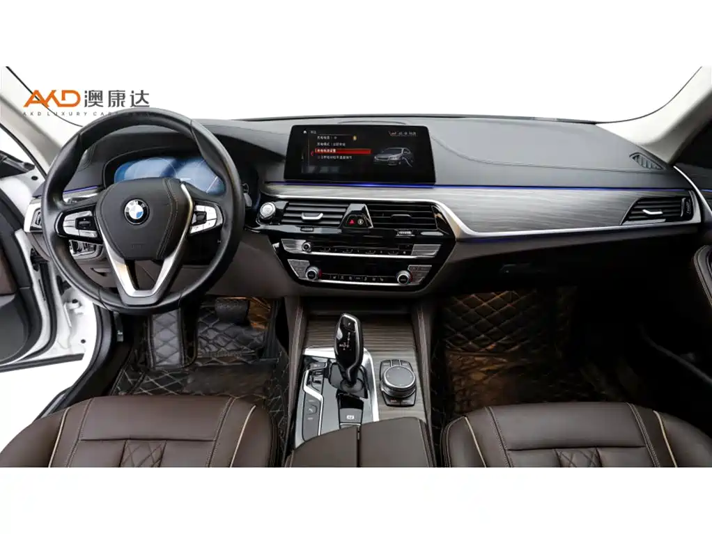 BMW 5 Series New Energy 2019