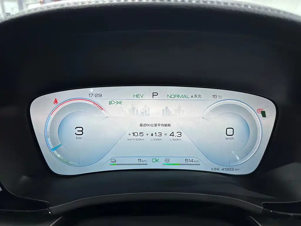 BYD PLUS New Energy 2023 — фото 13