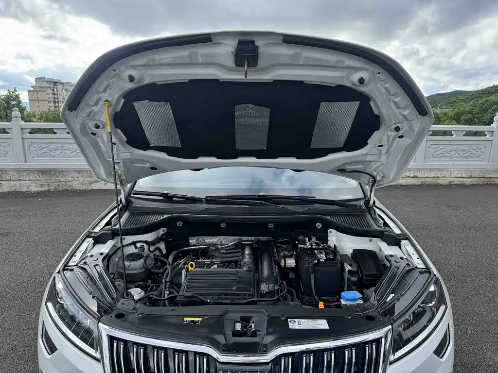 Skoda Karoq 2023 — фото 22