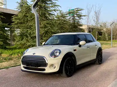MINI MINI 2019