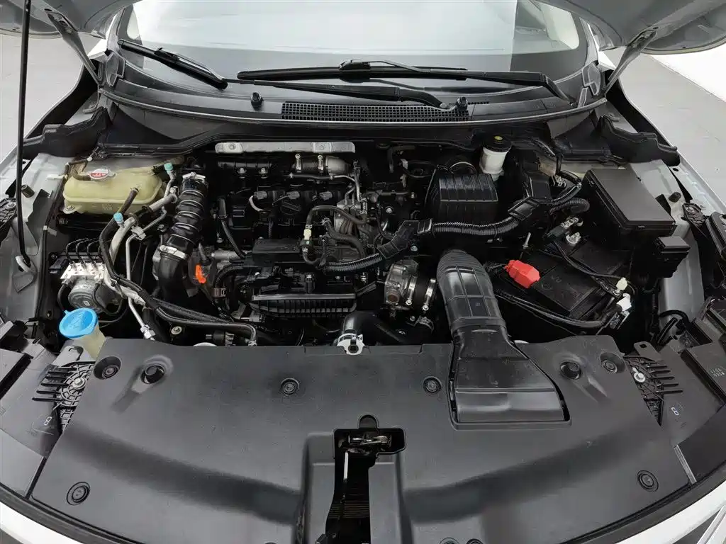 Honda Envix 2019
