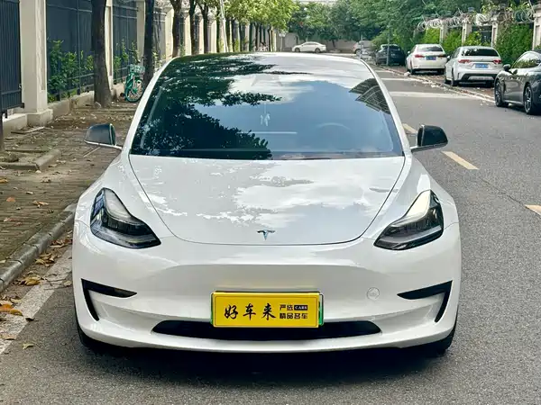 Tesla Model 3 2019