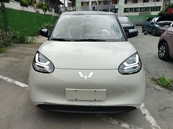 Wuling Bingo 2024
