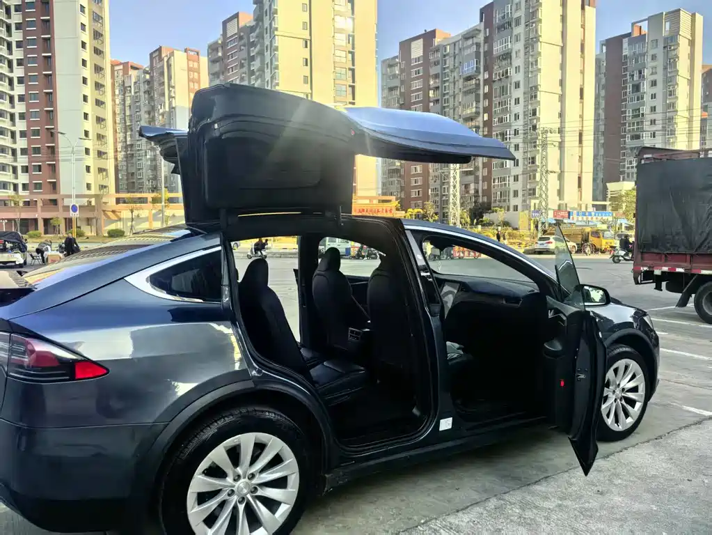 Tesla Model X 2020 — фото 5