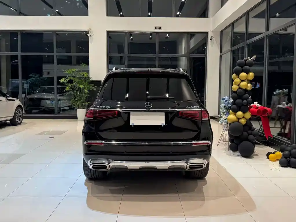 Mercedes-Benz Maybach GLS 2022 — фото 13