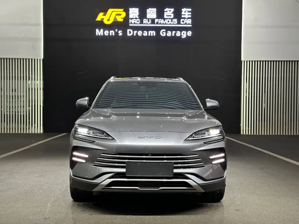 BYD PLUS New Energy 2023 — фото 2