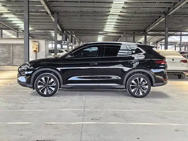 BYD Song PLUS New Energy 2024