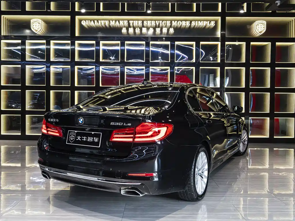 BMW 5 Series New Energy 2019 — фото 6
