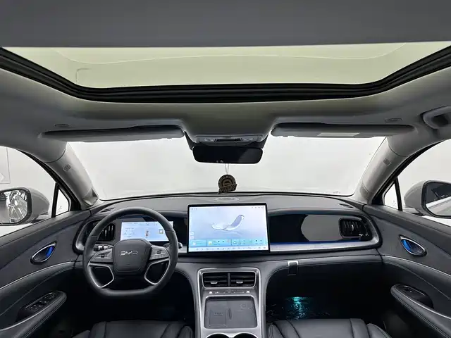 BYD Sealion 07 DM-i 2025 — фото 9