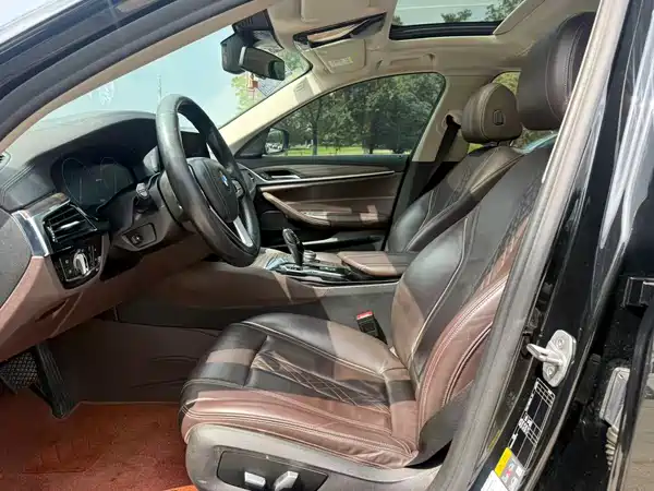 BMW 5 Series New Energy 2019