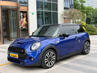 MINI MINI 2019