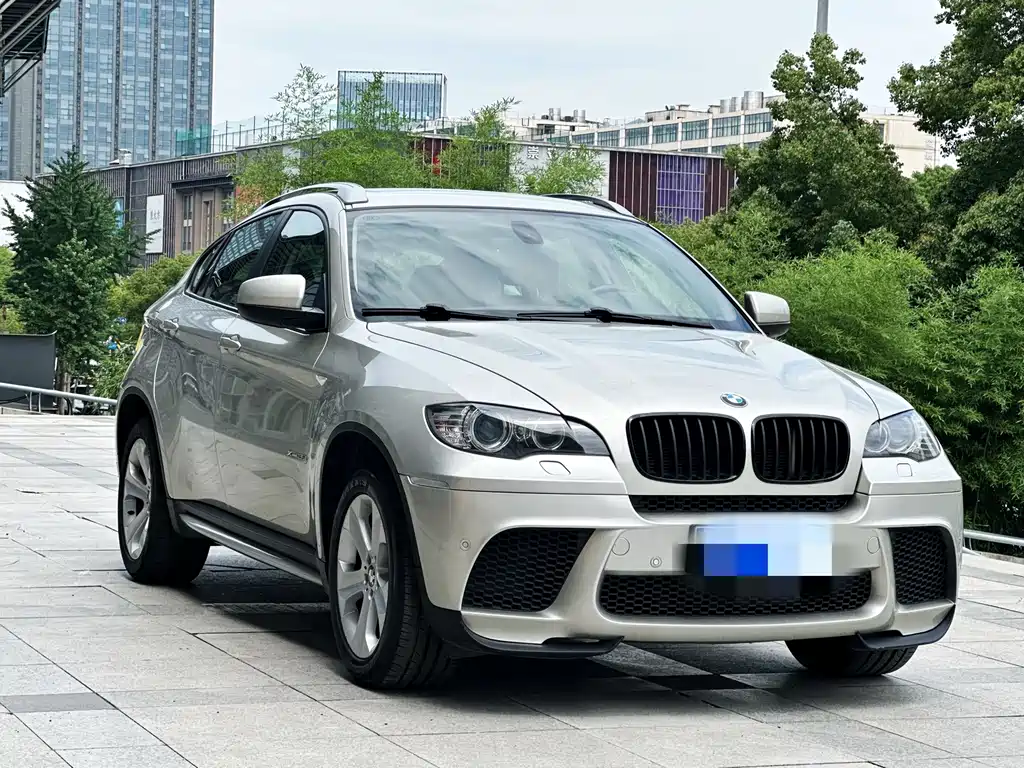 BMW X6 2013