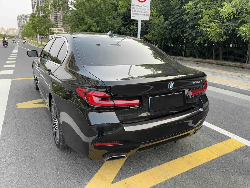 BMW 5 Series 2017 — фото 9