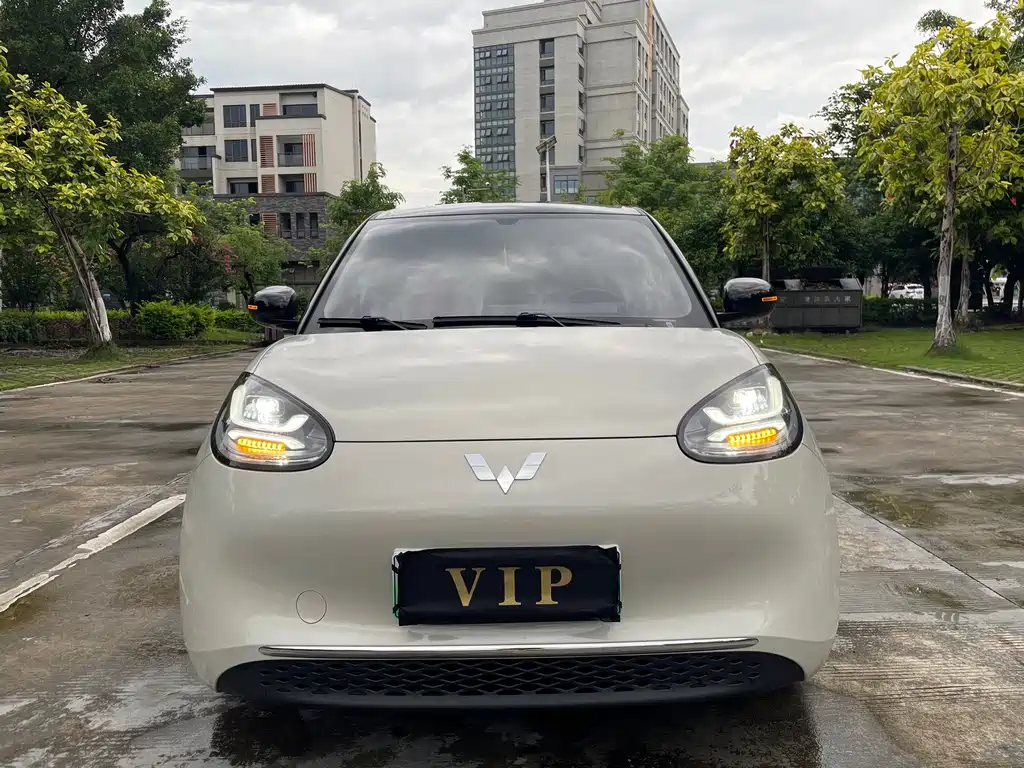 Wuling Bingo 2024
