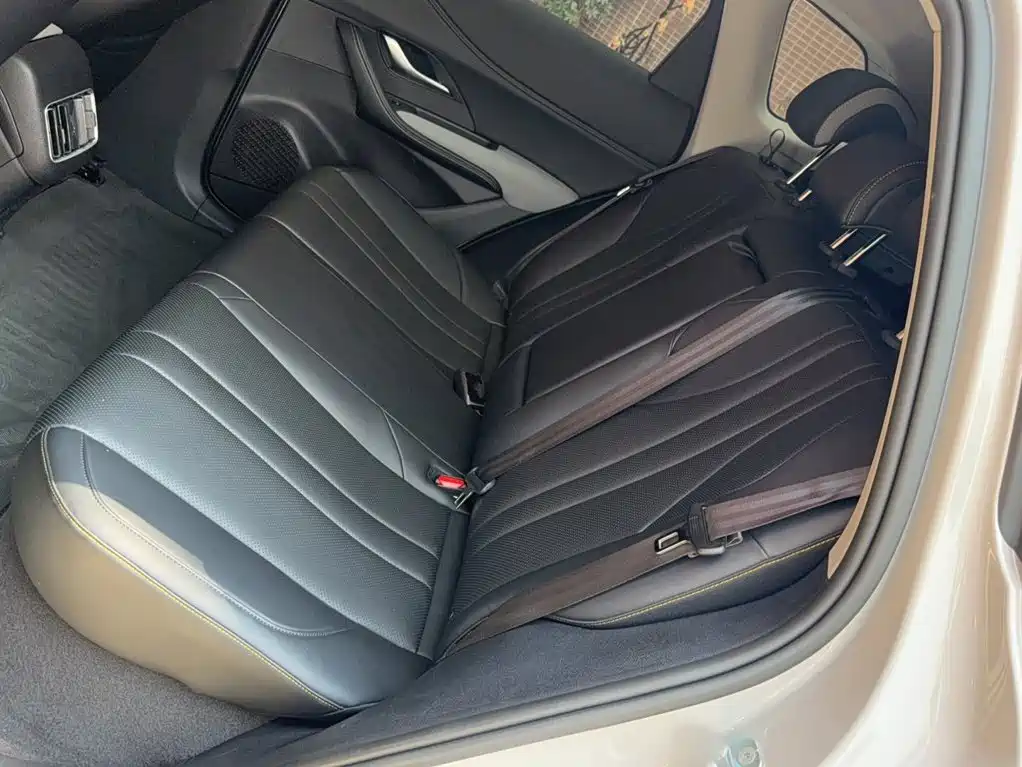 BYD Sealion 05 DM-i 2025 — фото 10