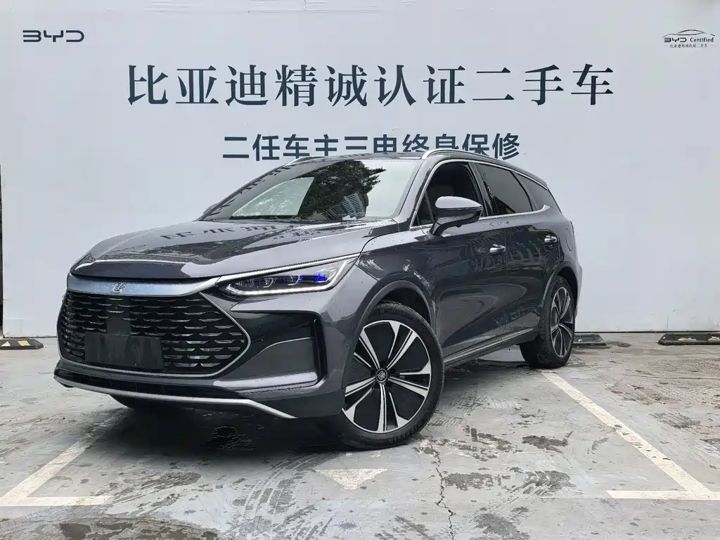 BYD Tang New Energy 2022 — фото 1