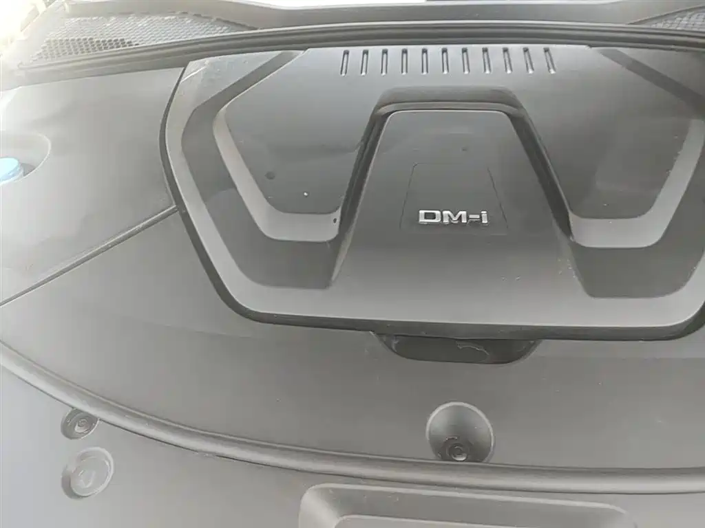 BYD PLUS New Energy 2023 — фото 20