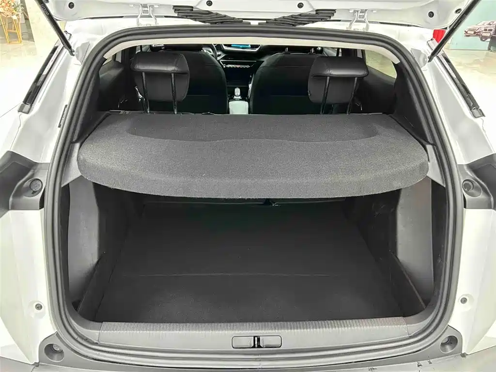 Peugeot 2008 2025 — фото 16
