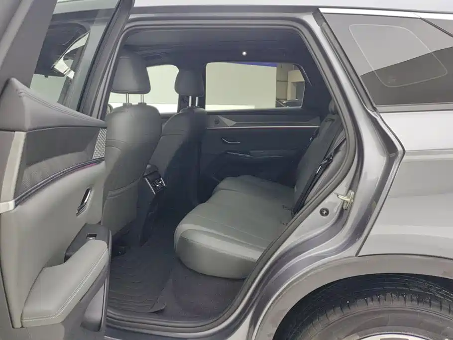 BYD Song Pro New Energy 2025 — фото 11