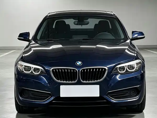 BMW 2 Series 2019