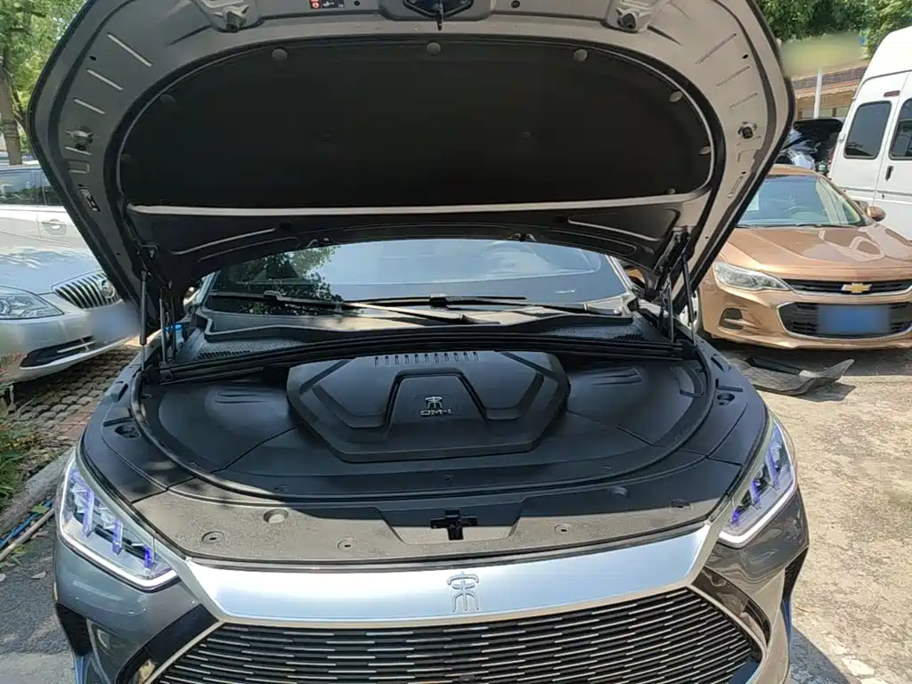 BYD PLUS New Energy 2023 — фото 20