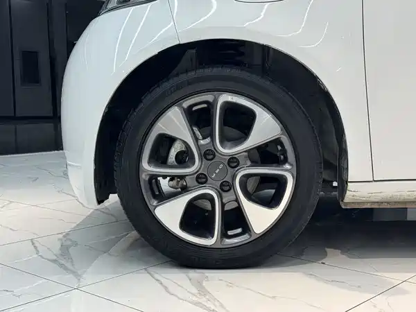 Ora White Cat 2021