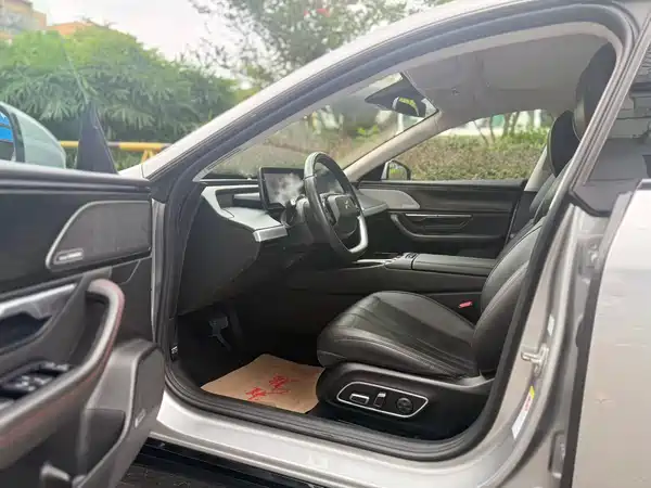XPeng P7 2020