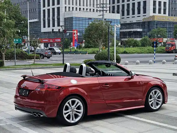 Audi TTS 2013