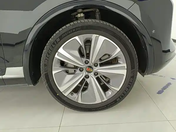 Hongqi E-HS9 2023