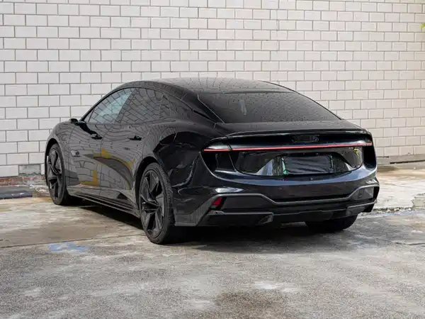 Lotus EMEYA 2024