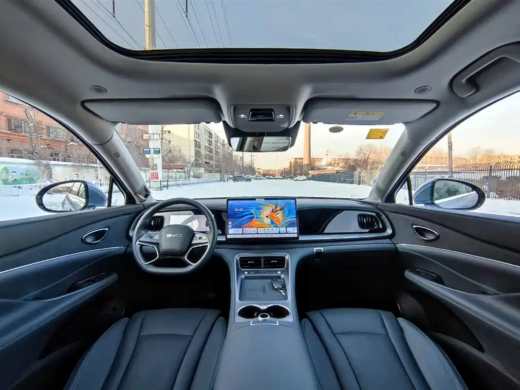 BYD Sealion 07 DM-i 2025 — фото 9