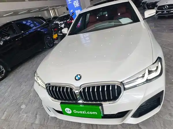 BMW 5 Series New Energy 2021