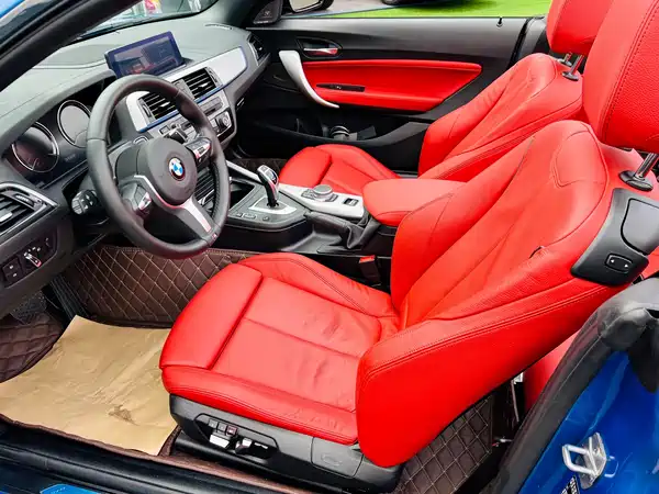 BMW 2 Series 2019