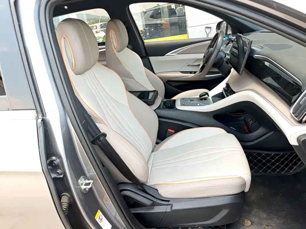 BYD Pro New Energy 2024 — фото 25