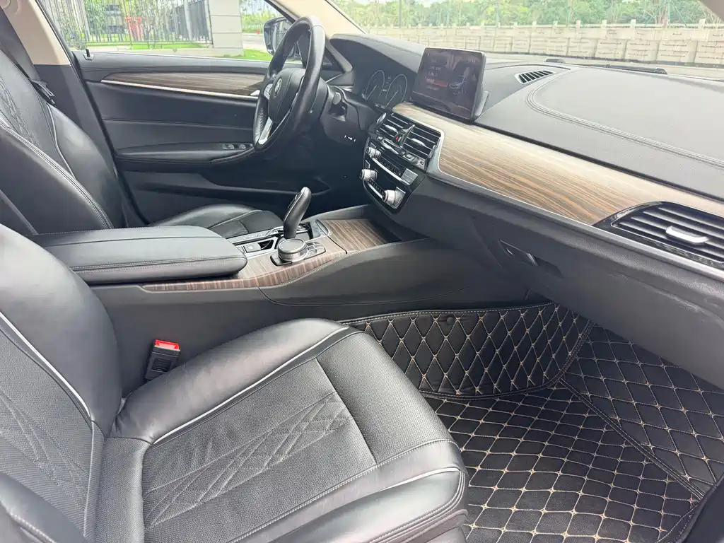 BMW 5 Series New Energy 2019