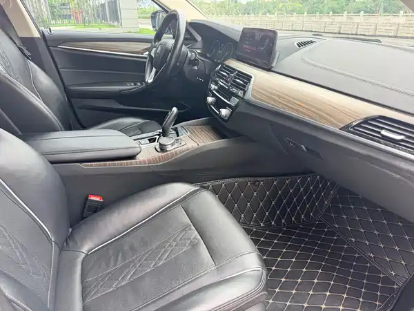 BMW 5 Series New Energy 2019