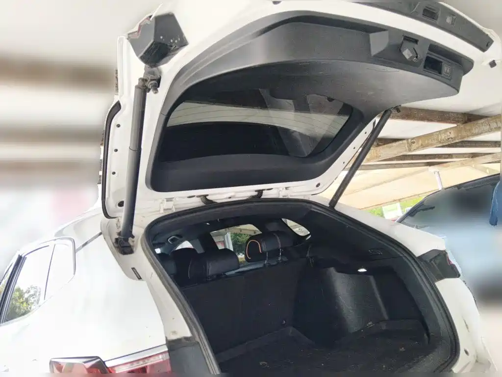 BYD PLUS New Energy 2022 — фото 10