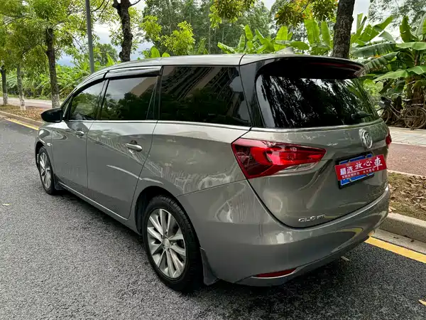 Buick GL6 2019