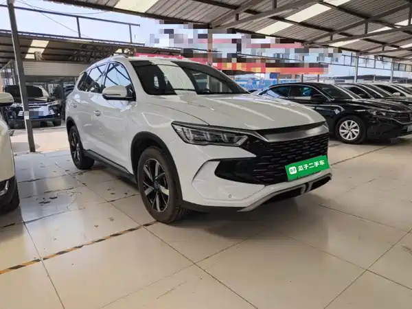 BYD Song Pro New Energy 2024