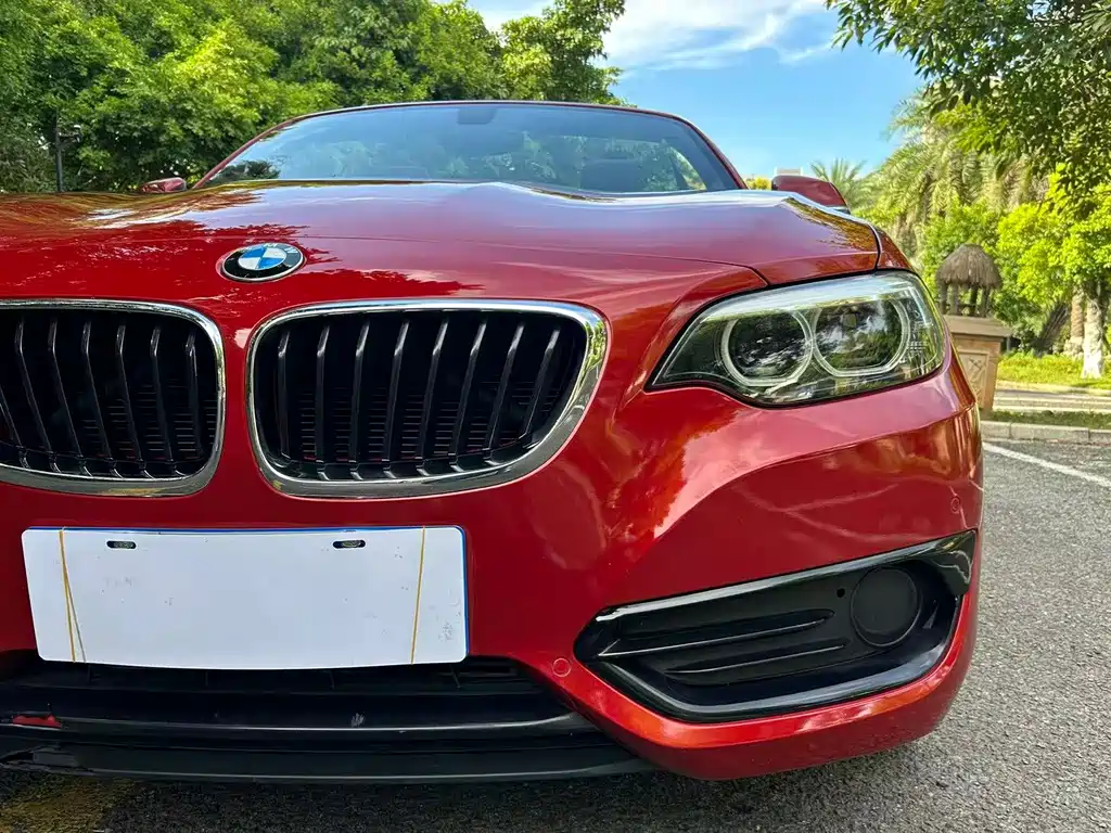 BMW 2 Series 2019 — фото 10