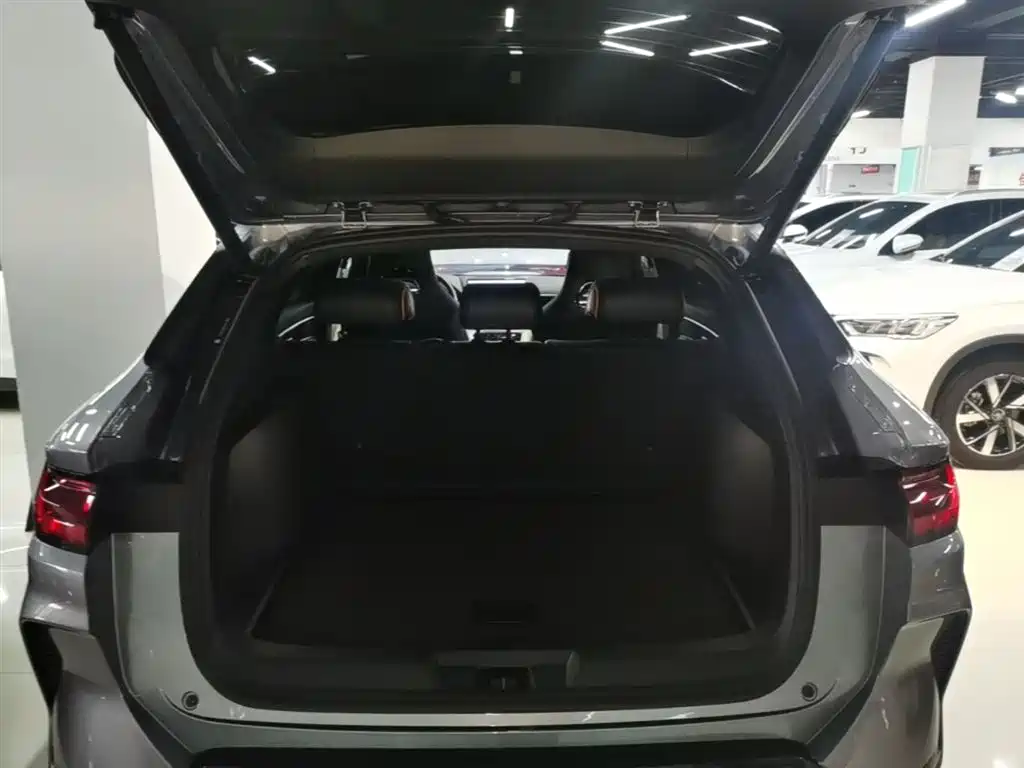 BYD PLUS New Energy 2024 — фото 19