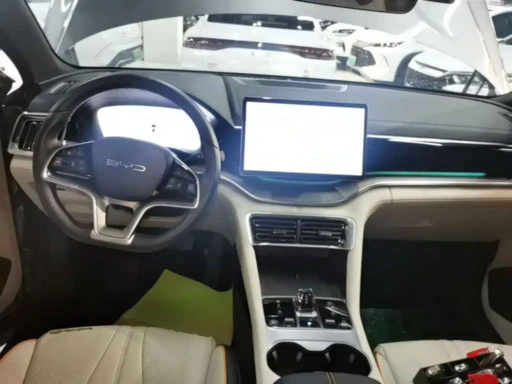 BYD PLUS New Energy 2024 — фото 10