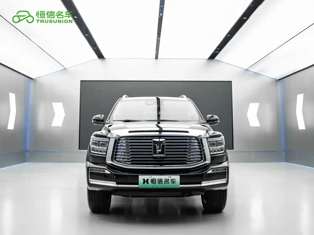 Tank 500 New Energy 2024