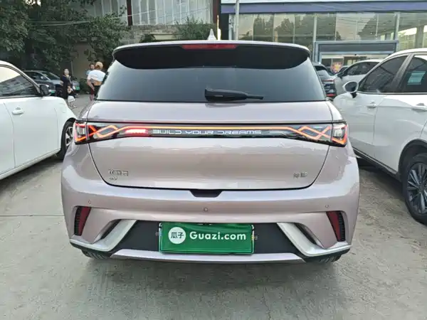BYD Dolphin 2024